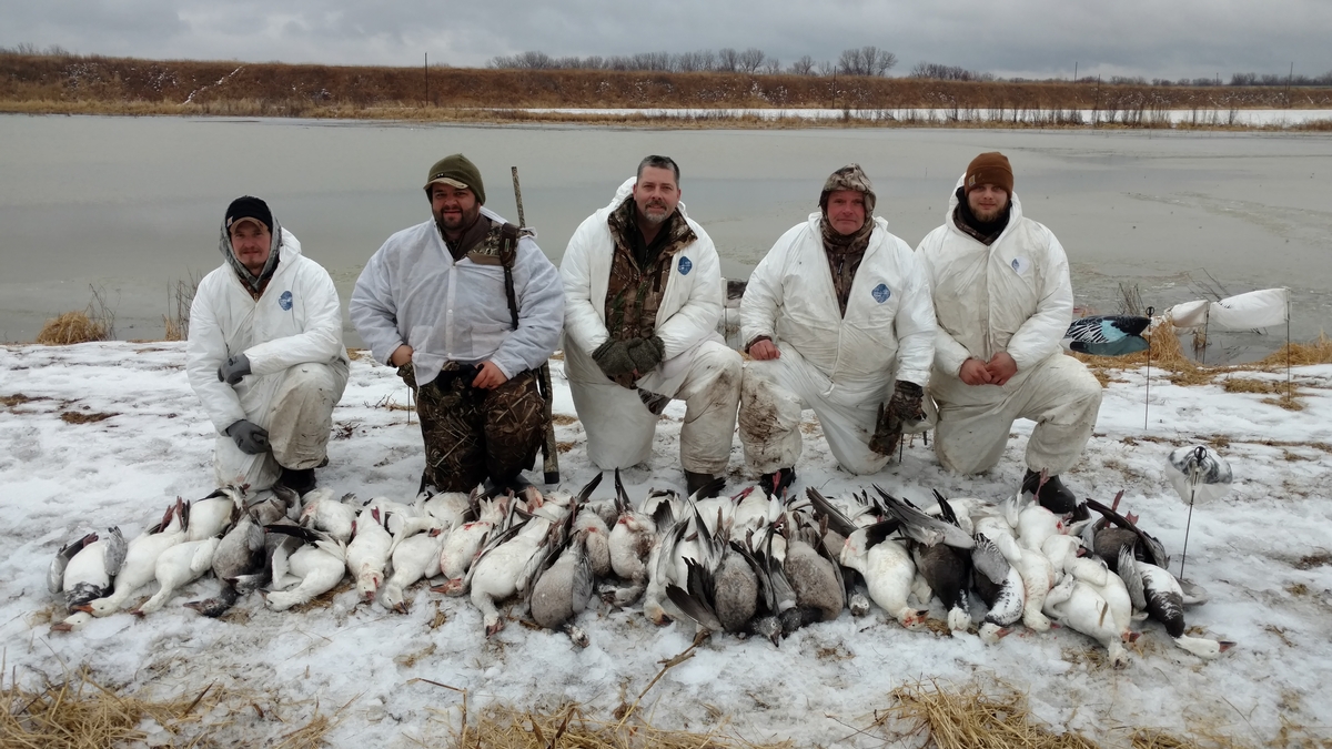 Missouri Snow Goose Hunting Photo